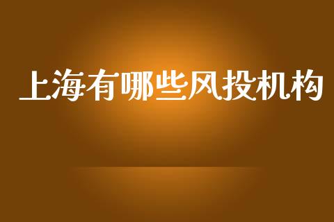 上海有哪些风投机构_https://wap.apzhendong.com_今日财经_第1张