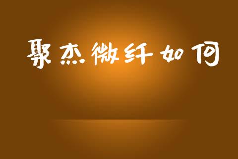 聚杰微纤如何_https://wap.apzhendong.com_投资理财_第1张