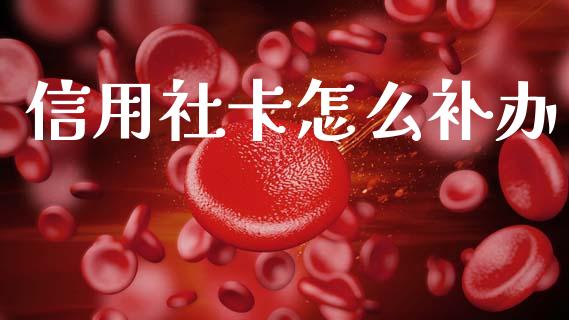 信用社卡怎么补办_https://wap.apzhendong.com_投资理财_第1张