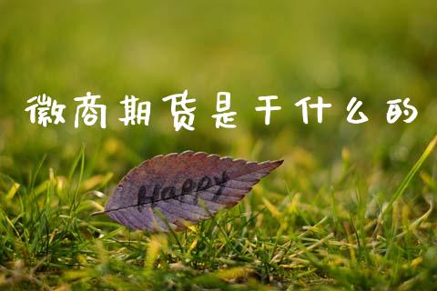 徽商期货是干什么的_https://wap.apzhendong.com_投资理财_第1张