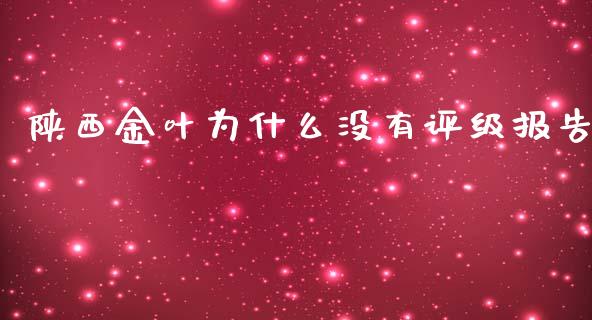 陕西金叶为什么没有评级报告_https://wap.apzhendong.com_投资理财_第1张