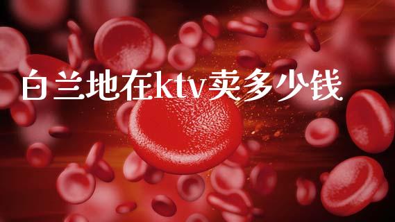 白兰地在ktv卖多少钱_https://wap.apzhendong.com_今日财经_第1张