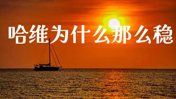 哈维为什么那么稳_https://wap.apzhendong.com_投资理财_第1张