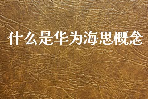 什么是华为海思概念_https://wap.apzhendong.com_今日财经_第1张