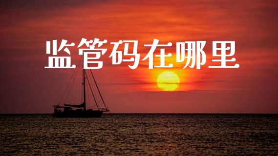 监管码在哪里_https://wap.apzhendong.com_美股行情_第1张