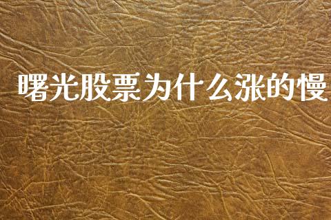曙光股票为什么涨的慢_https://wap.apzhendong.com_期货直播_第1张