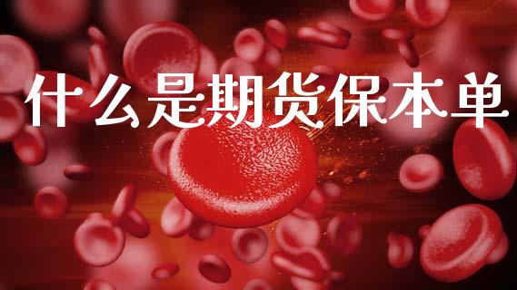 什么是期货保本单_https://wap.apzhendong.com_投资理财_第1张