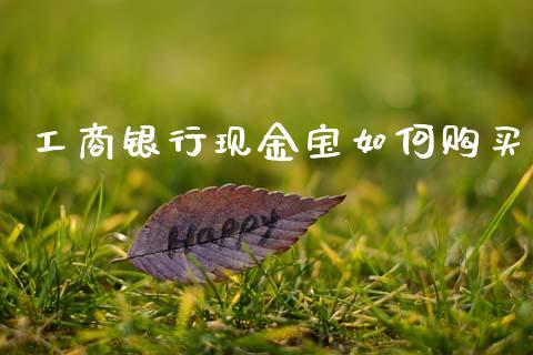 工商银行现金宝如何购买_https://wap.apzhendong.com_期货直播_第1张
