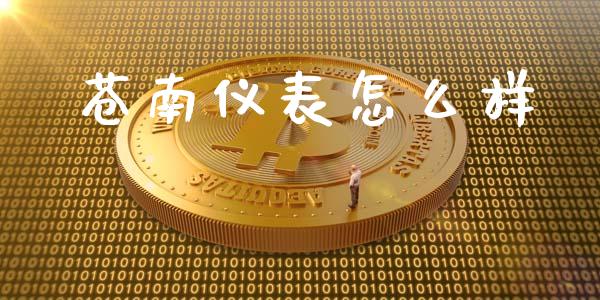 苍南仪表怎么样_https://wap.apzhendong.com_美股行情_第1张