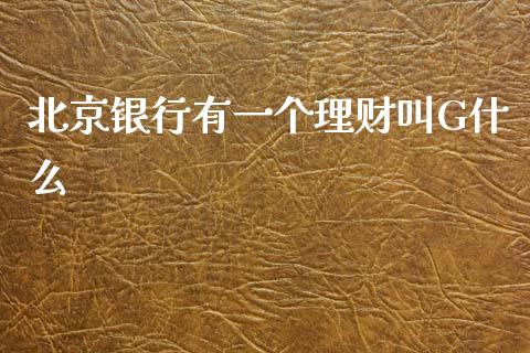 北京银行有一个理财叫G什么_https://wap.apzhendong.com_期货直播_第1张
