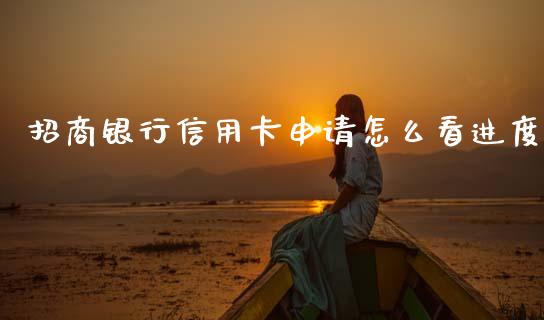 招商银行信用卡申请怎么看进度_https://wap.apzhendong.com_美股行情_第1张