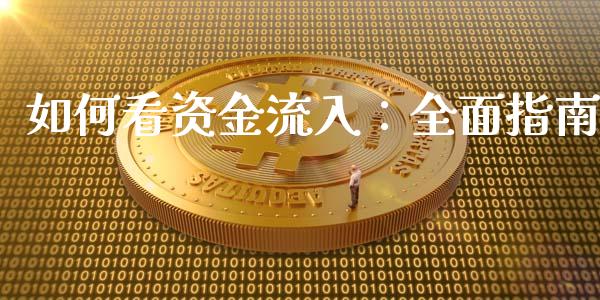 如何看资金流入：全面指南_https://wap.apzhendong.com_投资理财_第1张