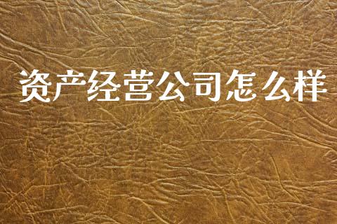 资产经营公司怎么样_https://wap.apzhendong.com_期货直播_第1张