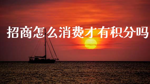 招商怎么消费才有积分吗_https://wap.apzhendong.com_今日财经_第1张