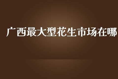 广西最大型花生市场在哪_https://wap.apzhendong.com_投资理财_第1张