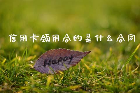 信用卡领用合约是什么合同_https://wap.apzhendong.com_今日财经_第1张