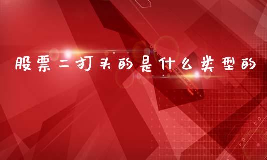 股票二打头的是什么类型的_https://wap.apzhendong.com_期货直播_第1张
