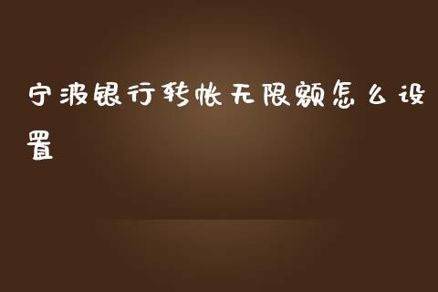 宁波银行转帐无限额怎么设置_https://wap.apzhendong.com_期货直播_第1张