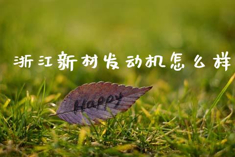 浙江新材发动机怎么样_https://wap.apzhendong.com_美股行情_第1张