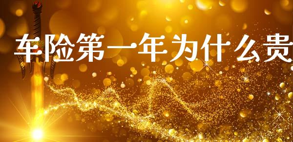 车险第一年为什么贵_https://wap.apzhendong.com_投资理财_第1张