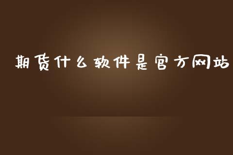 期货什么软件是官方网站_https://wap.apzhendong.com_今日财经_第1张