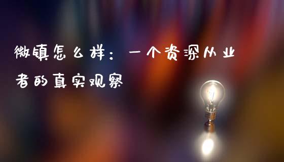 微镇怎么样：一个资深从业者的真实观察_https://wap.apzhendong.com_今日财经_第1张