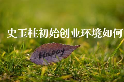 史玉柱初始创业环境如何_https://wap.apzhendong.com_期货直播_第1张