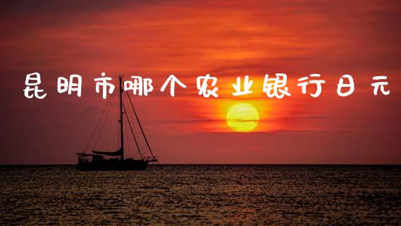 昆明市哪个农业银行日元_https://wap.apzhendong.com_今日财经_第1张