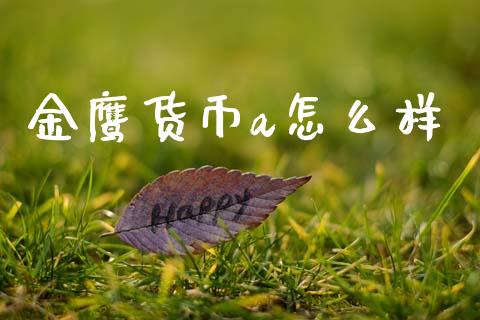金鹰货币a怎么样_https://wap.apzhendong.com_美股行情_第1张
