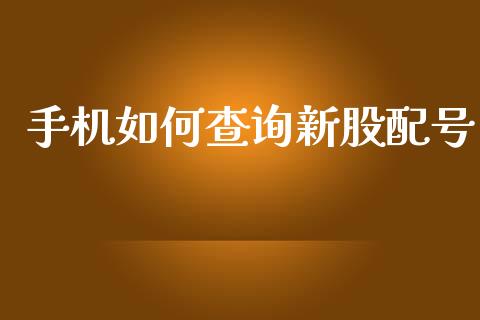 手机如何查询新股配号_https://wap.apzhendong.com_投资理财_第1张
