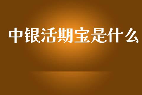 中银活期宝是什么_https://wap.apzhendong.com_投资理财_第1张
