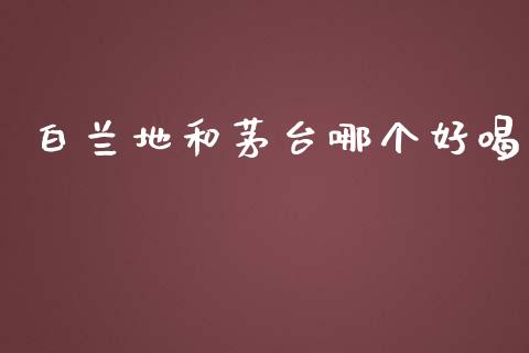 白兰地和茅台哪个好喝_https://wap.apzhendong.com_投资理财_第1张
