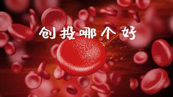 创投哪个好_https://wap.apzhendong.com_美股行情_第1张
