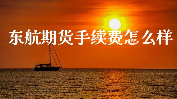 东航期货手续费怎么样_https://wap.apzhendong.com_期货直播_第1张