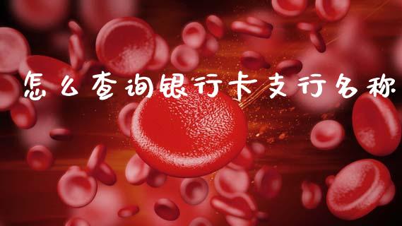 怎么查询银行卡支行名称_https://wap.apzhendong.com_投资理财_第1张