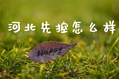 河北先控怎么样_https://wap.apzhendong.com_投资理财_第1张
