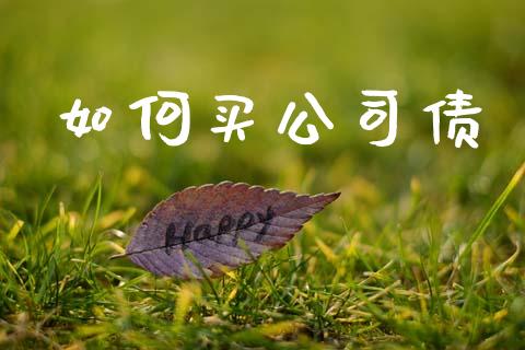 如何买公司债_https://wap.apzhendong.com_今日财经_第1张
