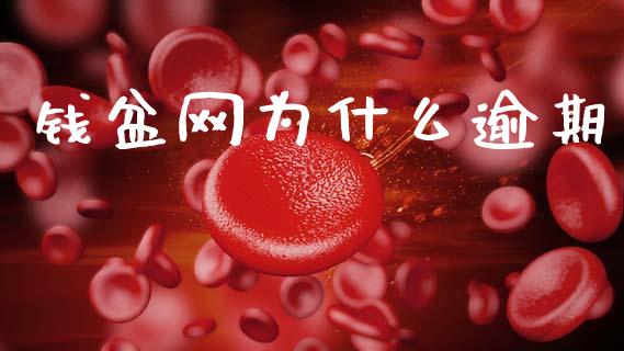 钱盆网为什么逾期_https://wap.apzhendong.com_期货直播_第1张