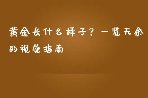 黄金长什么样子？一览无余的视觉指南_https://wap.apzhendong.com_期货直播_第1张