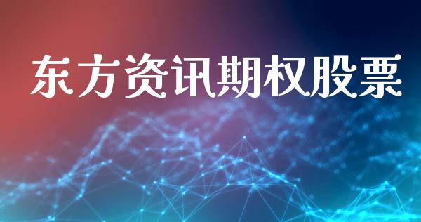 东方资讯期权股票_https://wap.apzhendong.com_今日财经_第1张