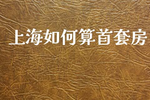 上海如何算首套房_https://wap.apzhendong.com_期货直播_第1张