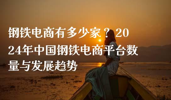 钢铁电商有多少家？ 2024年中国钢铁电商平台数量与发展趋势_https://wap.apzhendong.com_期货直播_第1张
