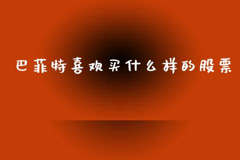 巴菲特喜欢买什么样的股票_https://wap.apzhendong.com_投资理财_第1张