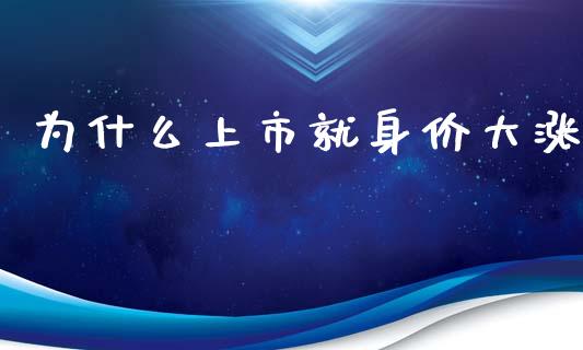 为什么上市就身价大涨_https://wap.apzhendong.com_今日财经_第1张