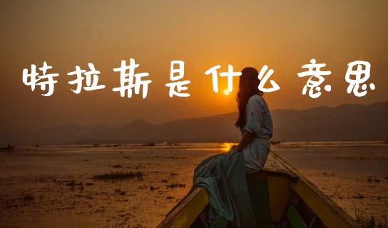 特拉斯是什么意思_https://wap.apzhendong.com_今日财经_第1张