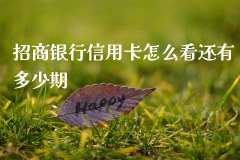 招商银行信用卡怎么看还有多少期_https://wap.apzhendong.com_今日财经_第1张