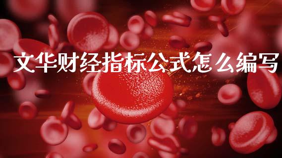 文华财经指标公式怎么编写_https://wap.apzhendong.com_今日财经_第1张