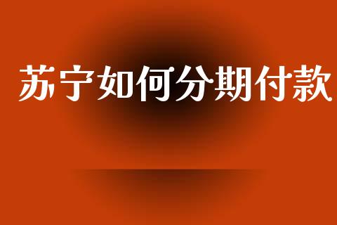 苏宁如何分期付款_https://wap.apzhendong.com_今日财经_第1张