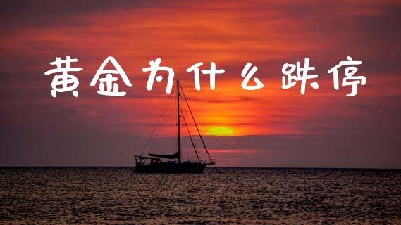 黄金为什么跌停_https://wap.apzhendong.com_期货直播_第1张
