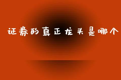 证券的真正龙头是哪个_https://wap.apzhendong.com_期货直播_第1张
